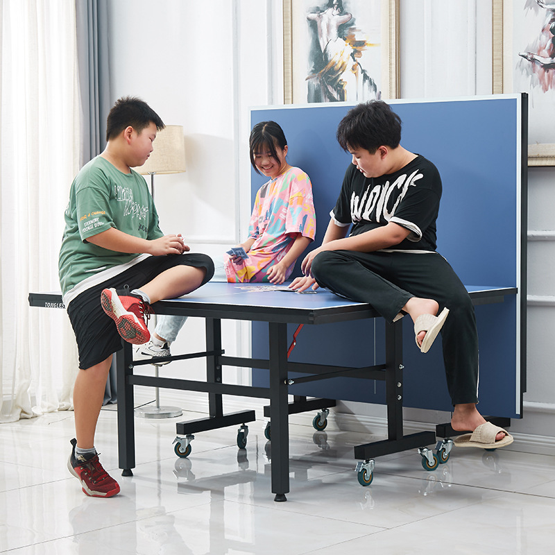 Foldable Indoor Table Tennis T - Table Tennis Folding Table recension och pris