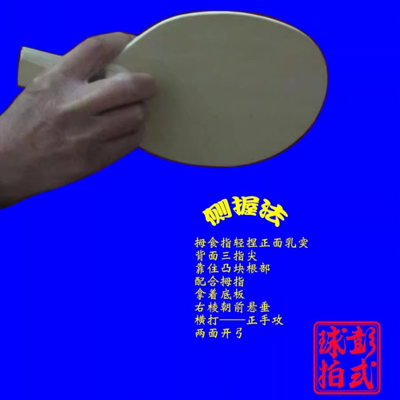 Chinese/Japanese Style Table T - Table Tennis In Japanese recension och pris